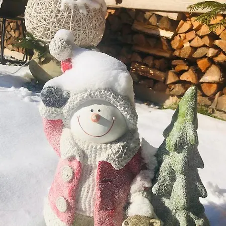 Apartment Steiner Tulfes