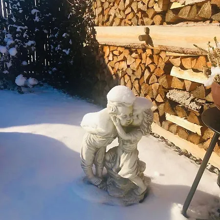 Апартаменты Steiner